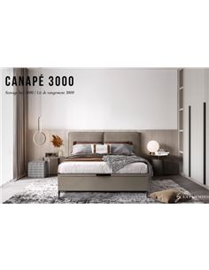 cp3000