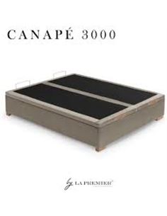 cp3000 2