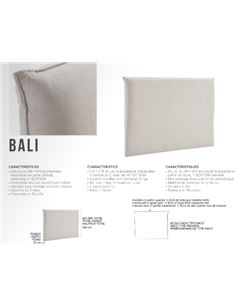 C. BALI 2