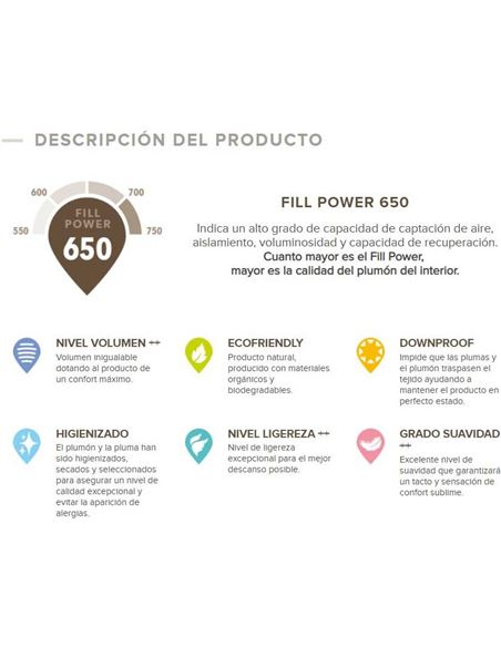edredon-nordico-plumon-oca-blanca-europea-klinun (1)_2