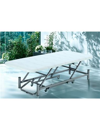 CAMA ELEVABLE C.RUEDAS.