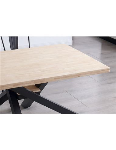 MESA XENA 160_4